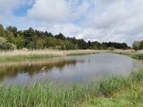 Voyage gourmand : Que manger en baie de Somme