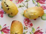 Madeleines vanille et pépites de chocolat