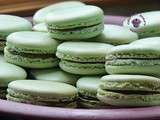 Macarons pistache