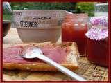 Confiture de fraises et rhubarbe