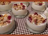 Panna Cotta Opalys Vanille