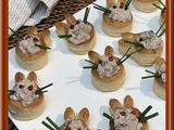 Bouchées aux rillettes de thon