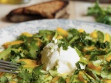 Carpaccio de mangue, avocat et mozzarella