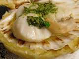 Coquille St Jacques lutée au beurre de gingembre coriandre et citron vert