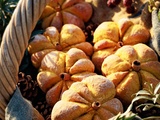 Petits pains citrouilles