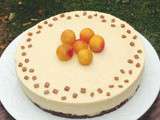 Entremets praliné mirabelle