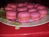 Macarons et ganaches