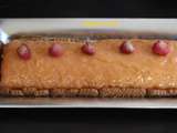 Bûche de Noël bavaroise framboises chocolat blanc au thermomix ou sans