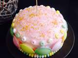 Gâteau pastel décoré de bonbons multicolores au thermomix ou sans - gâteau d'anniversaire fille