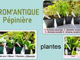 Grand merci à mon partenaire arom'antique bio Pépinière plantes aromatiques