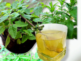 Infusion mélisse, menthe, verveine et miel