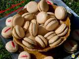 Macarons spéculoos sur coque de nougatine