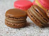 Index de mes recettes de Macarons