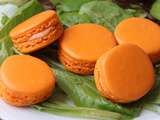 Macarons salés au saumon fumé, curry et à la pomme