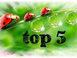 Top 5 – Mai 2023