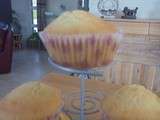 Cupcakes de base