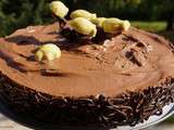 Terre de gourmandise - Entremet tout chocolat