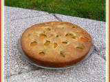 Gâteau aux abricots, amande et chocolat