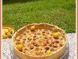 Tarte aux Mirabelles