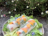 Rouleaux de printemps au crabe, crudités et roquette