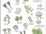 Calendrier des légumes et fruits de saison du mois d’avril