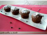 Petits moelleux au chocolat