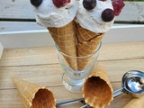 Glace  fior di latte 