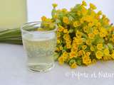 Limonade aux fleurs de printemps : un rafraîchissement original