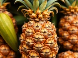 Découvrez l’ananas : une écorce coriace mais un cœur tendre