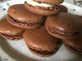 Macarons chocolat-noix de coco et chocolat-spéculos