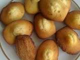 Madeleines en coque de craquelin