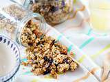 Granola maison aux fruits secs