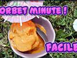 Sorbet minute à l'abricot ( ou tout autre fruit)