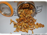 Chanterelles en tubes et pieds de mouton deshydrates