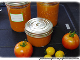 Coulis de tomates au thermomix ou pas