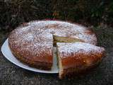 Gateau au fromage blanc moelleux et rapide - Qui Dort Dine