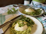 Risotto roquette et mozzarella, recette du Chef Simone Zanoni