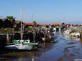 Balade à Gujan Mestras sur le Bassin d’Arcachon