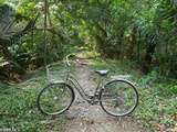 Balade à vélo à Bang Kachao, le poumon vert de Bangkok en Thaïlande