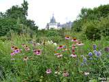 Péché de gourmandise au festival des jardins de Chaumont