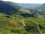 Sur la route des vins du jura