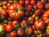 Variétés de tomates italiennes