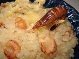 Risotto aux Crevettes grises