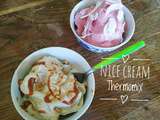 Nice cream au thermomix, la glace vegan à la banane