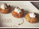 Biscuits Fleur de Coco