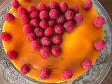 Gâteau Fête des Grands-Mères - Bavarois noix de coco, framboises, mangue