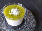 Panna Cotta Coco-Kiwi