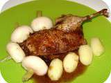 Canard sauvage, sauce aux oignons