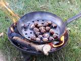 Châtaignes grillées au feu de bois