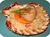 Coquille Saint-Jacques sur Nid d'Endives